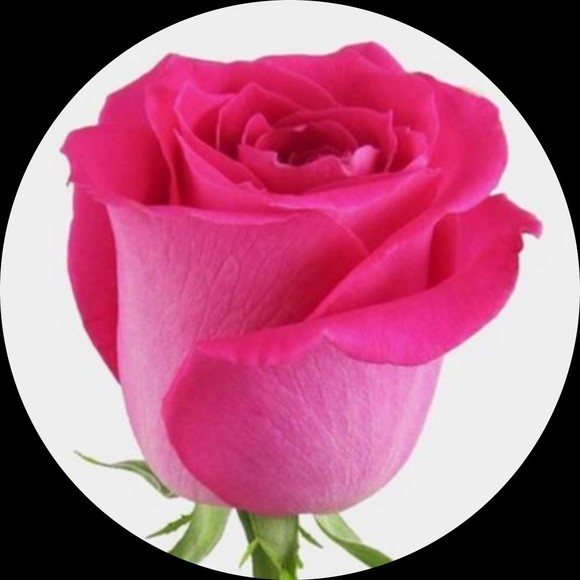 rosejenna17